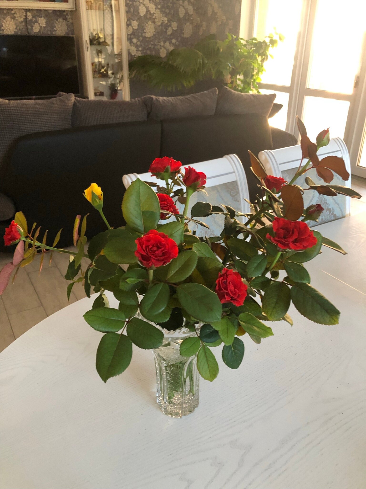 Фото Жемчужина