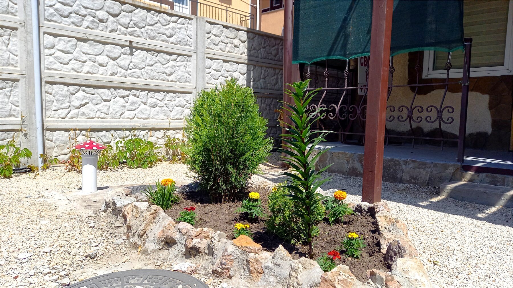 Фото Белый парус