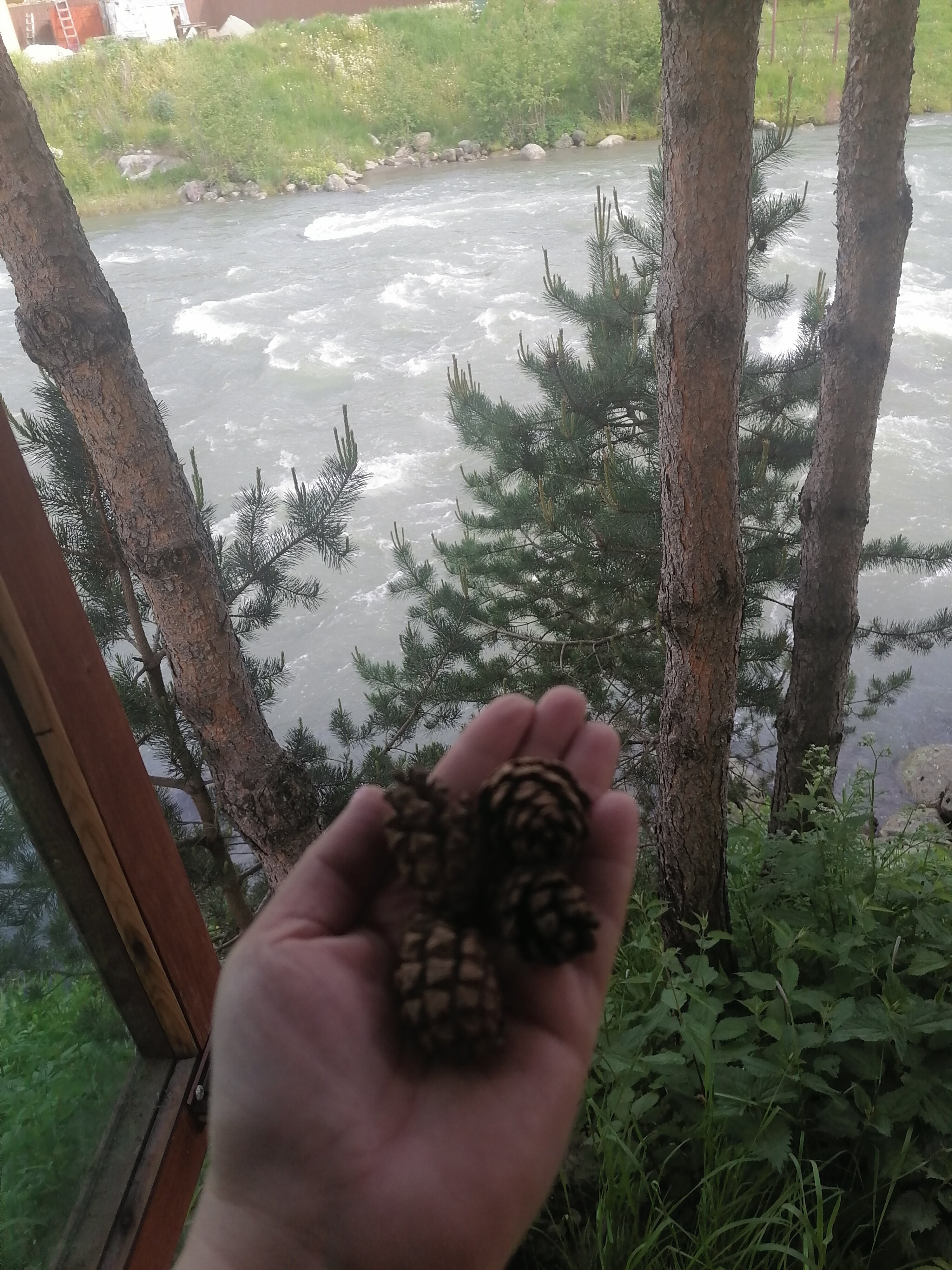 Фото Речной бриз