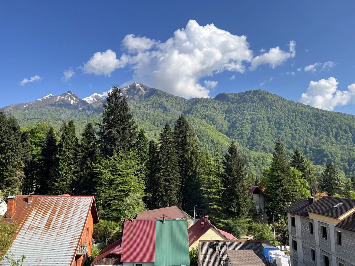 Фото Горная Кадриль Редэнс