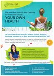 Sheetal (17B, 56B Street, Al Wasl, Jumeirah, Dubai), coaching