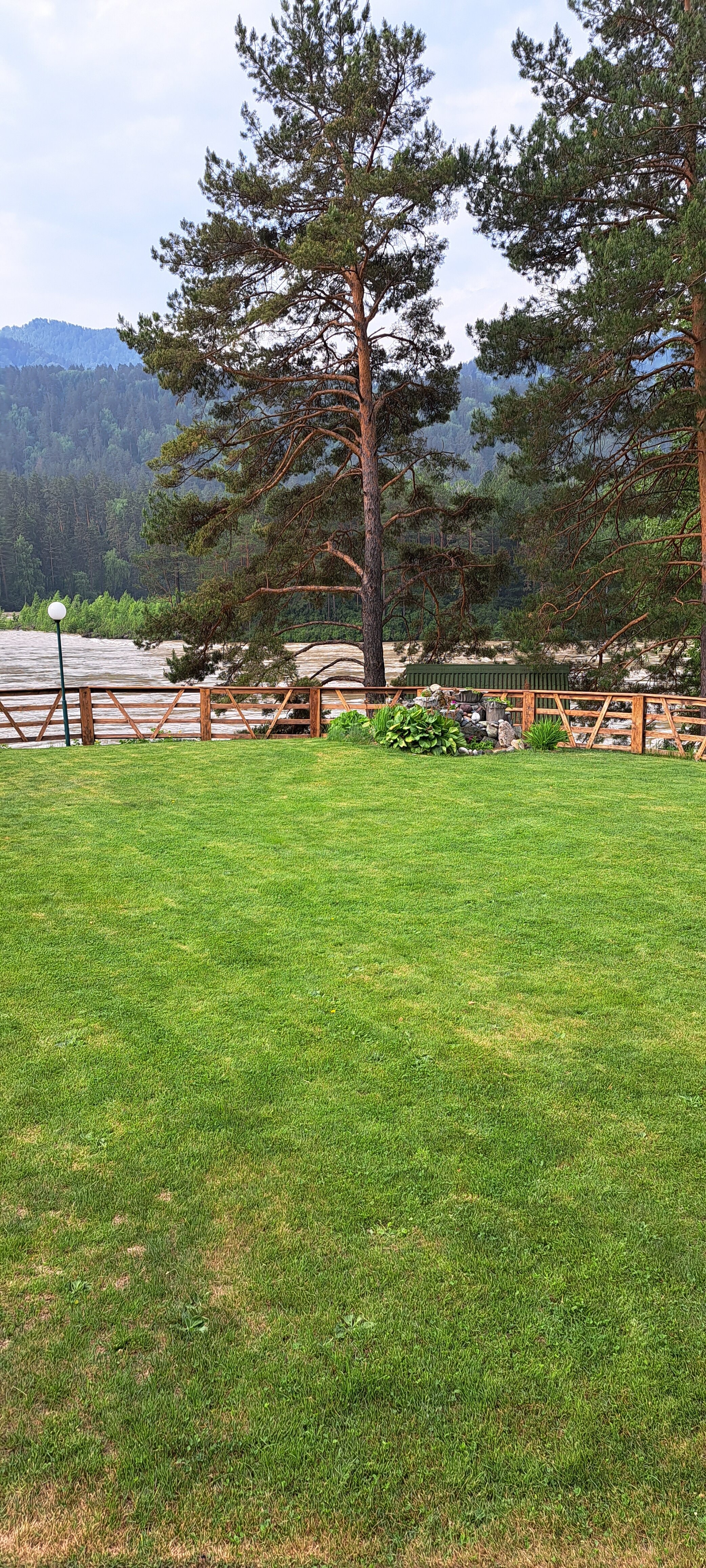 Фото Альбатрос