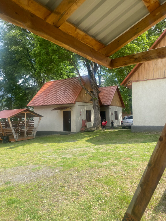 Фото Лесной ручей