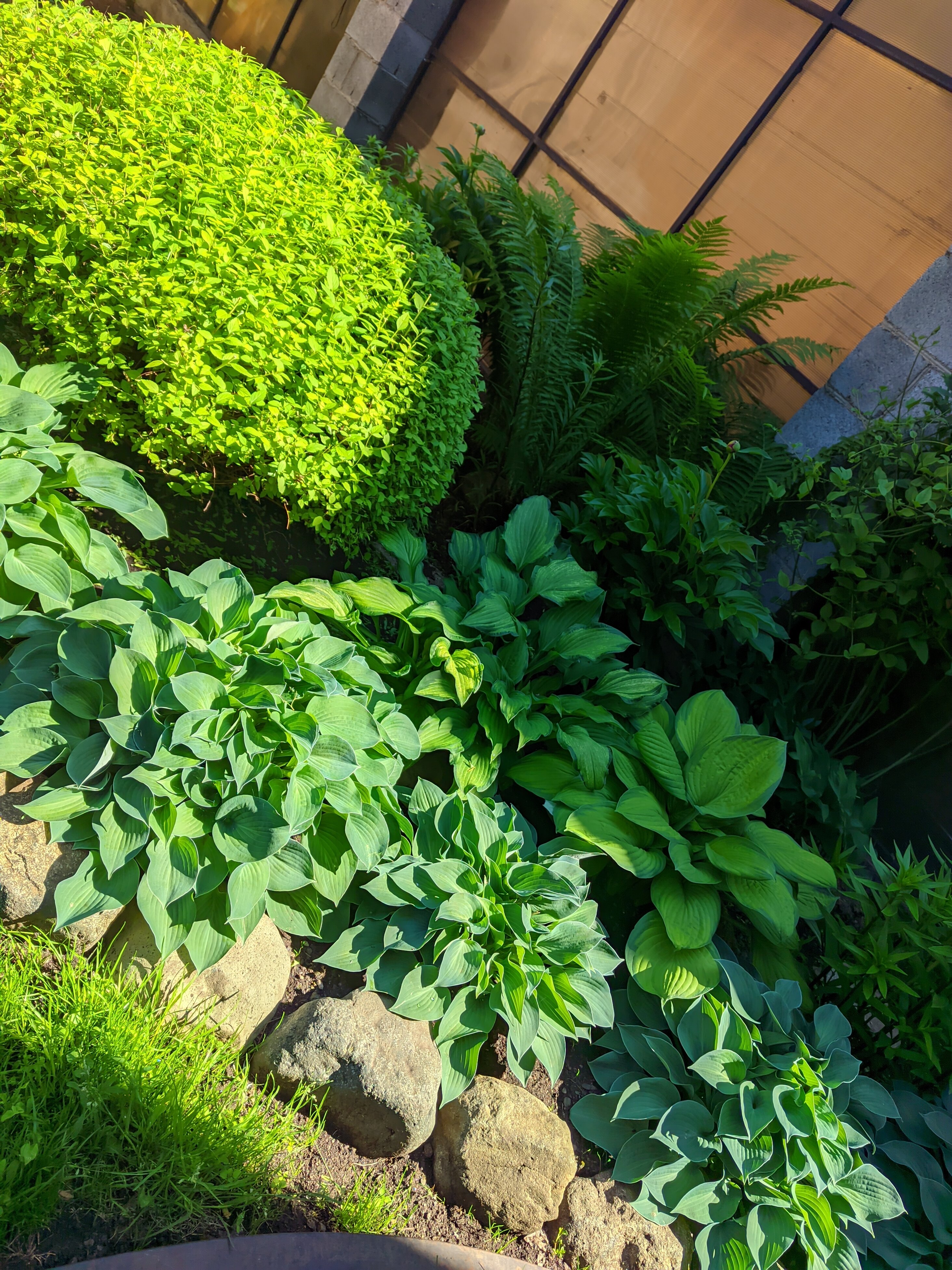 Фото Дом Уютный на острове