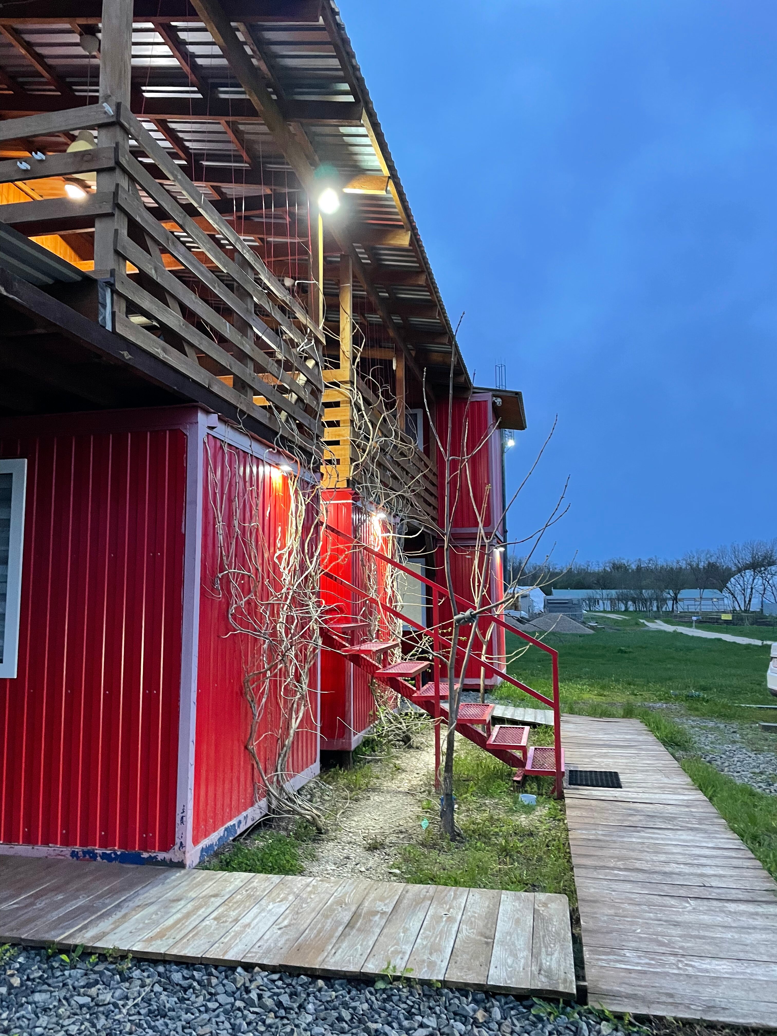 Фото Добрыня