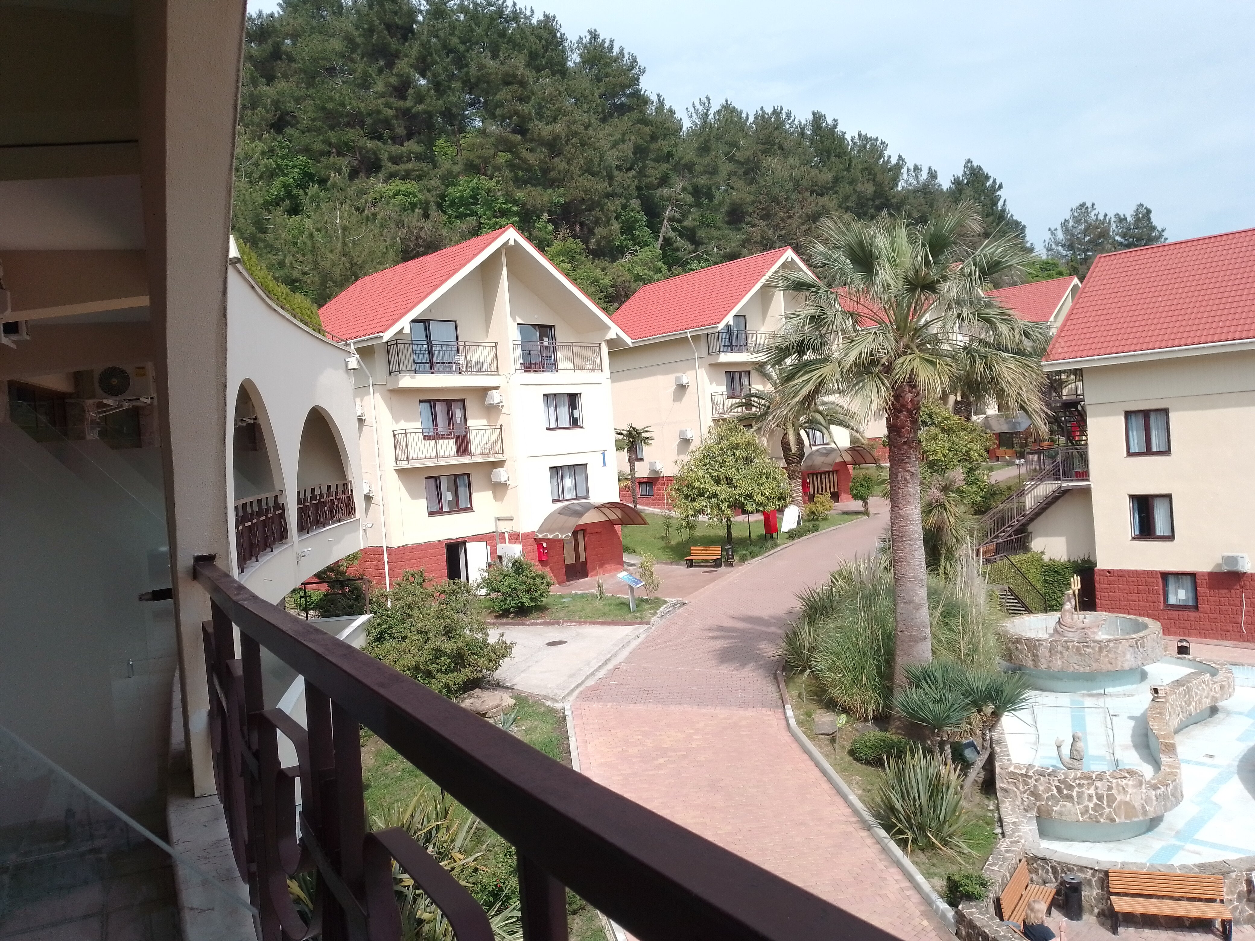 Фото Дивный