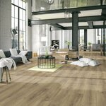 Gulf Floor Carpet (5, Al Kawakib 2 Street, Wadi Al Ain 1, Al Khrair, Al Ain, Abu Dhabi), home goods store