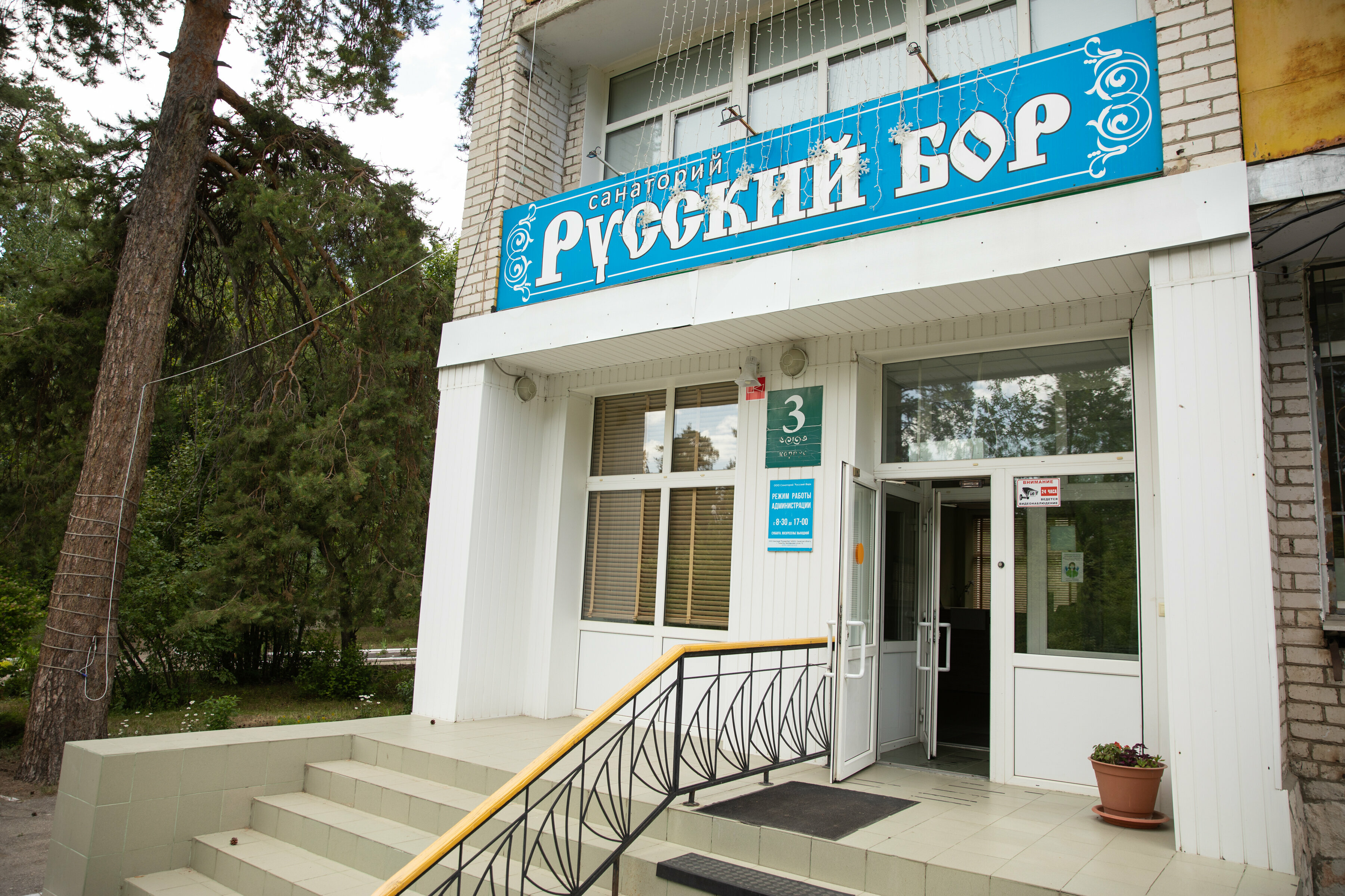 Фото Русский бор