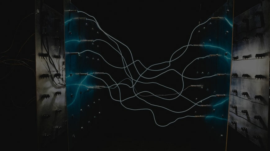 IT company Proxima Networks, Dubai, photo