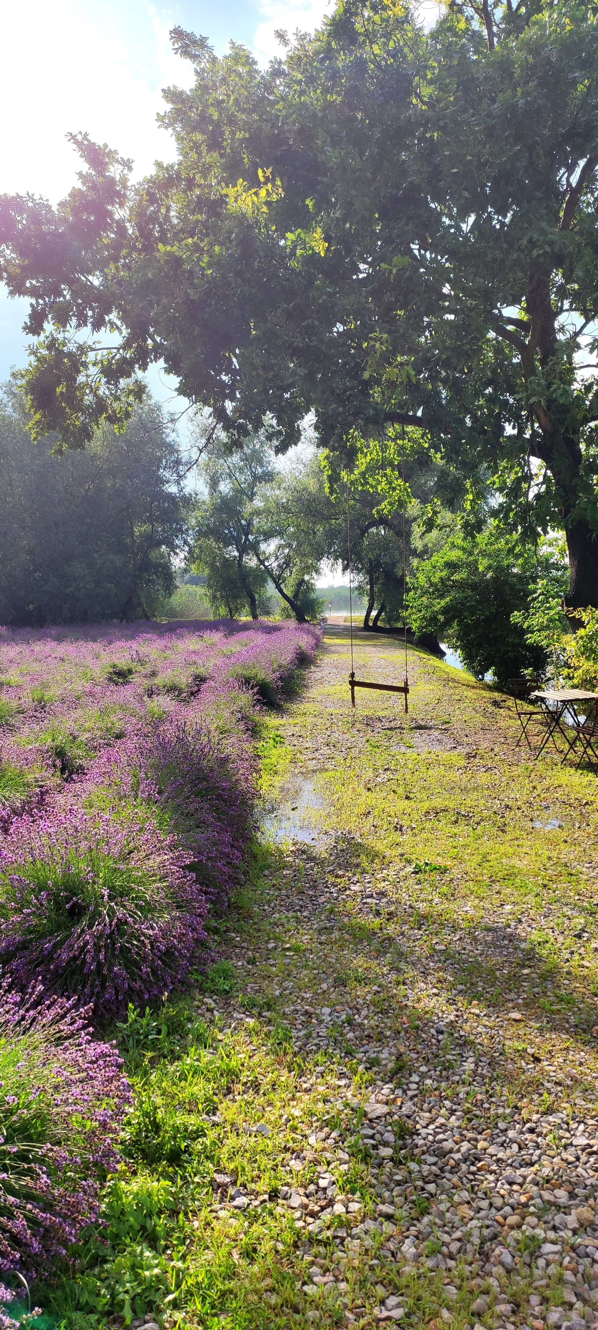 Фото Северский Рыбхоз