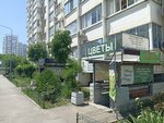 Nepolyarnaya sova (Prikubanskiy City administrative district, mikrorayon Moskovskiy, ulitsa imeni Nikolaya Semenovicha Kotlyarova, 19), beauty salon