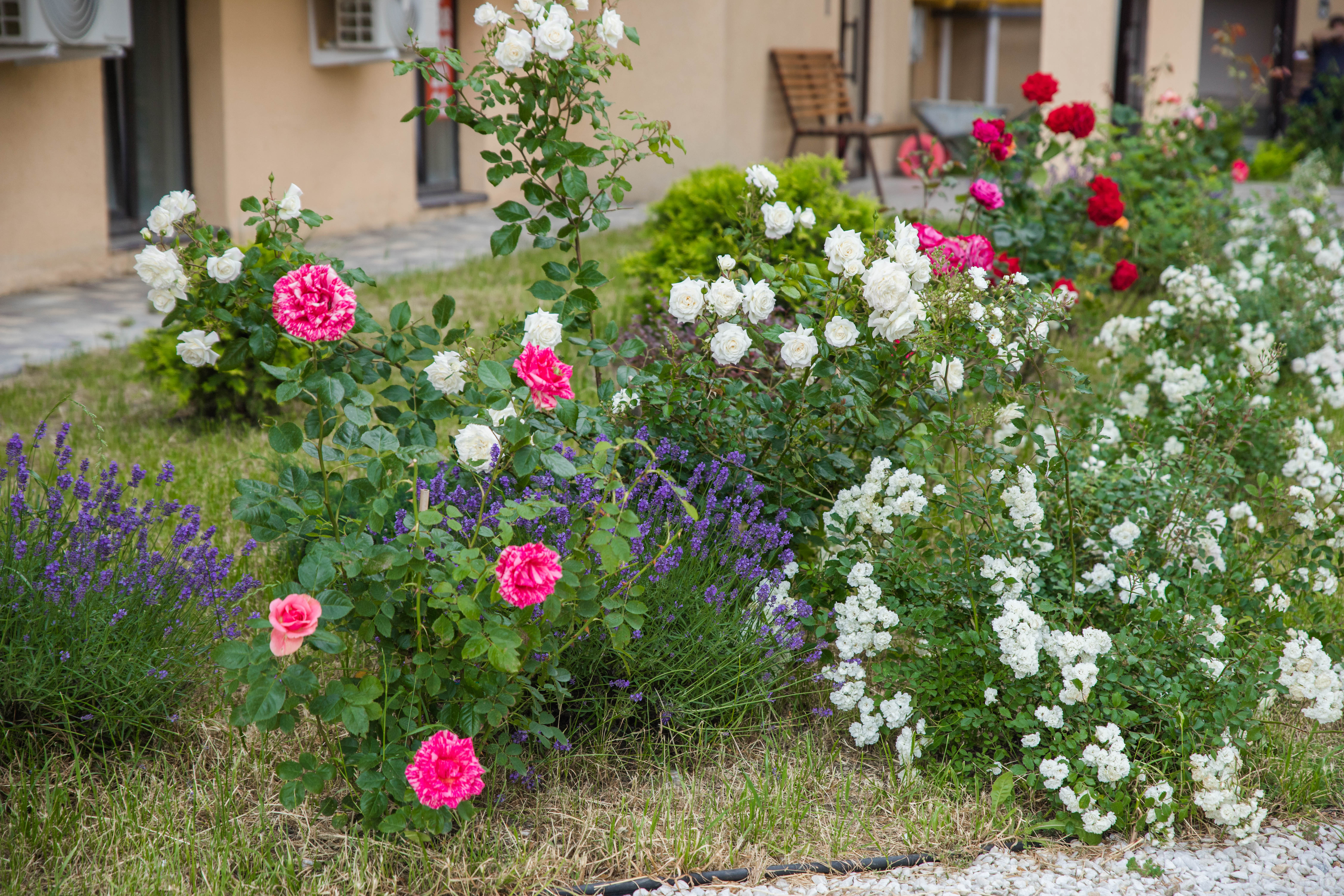 Фото Скала Парус 