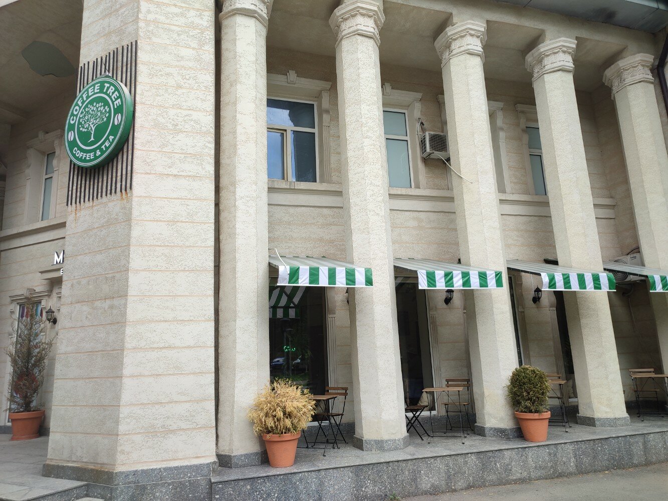 Coffee Tree coffee
