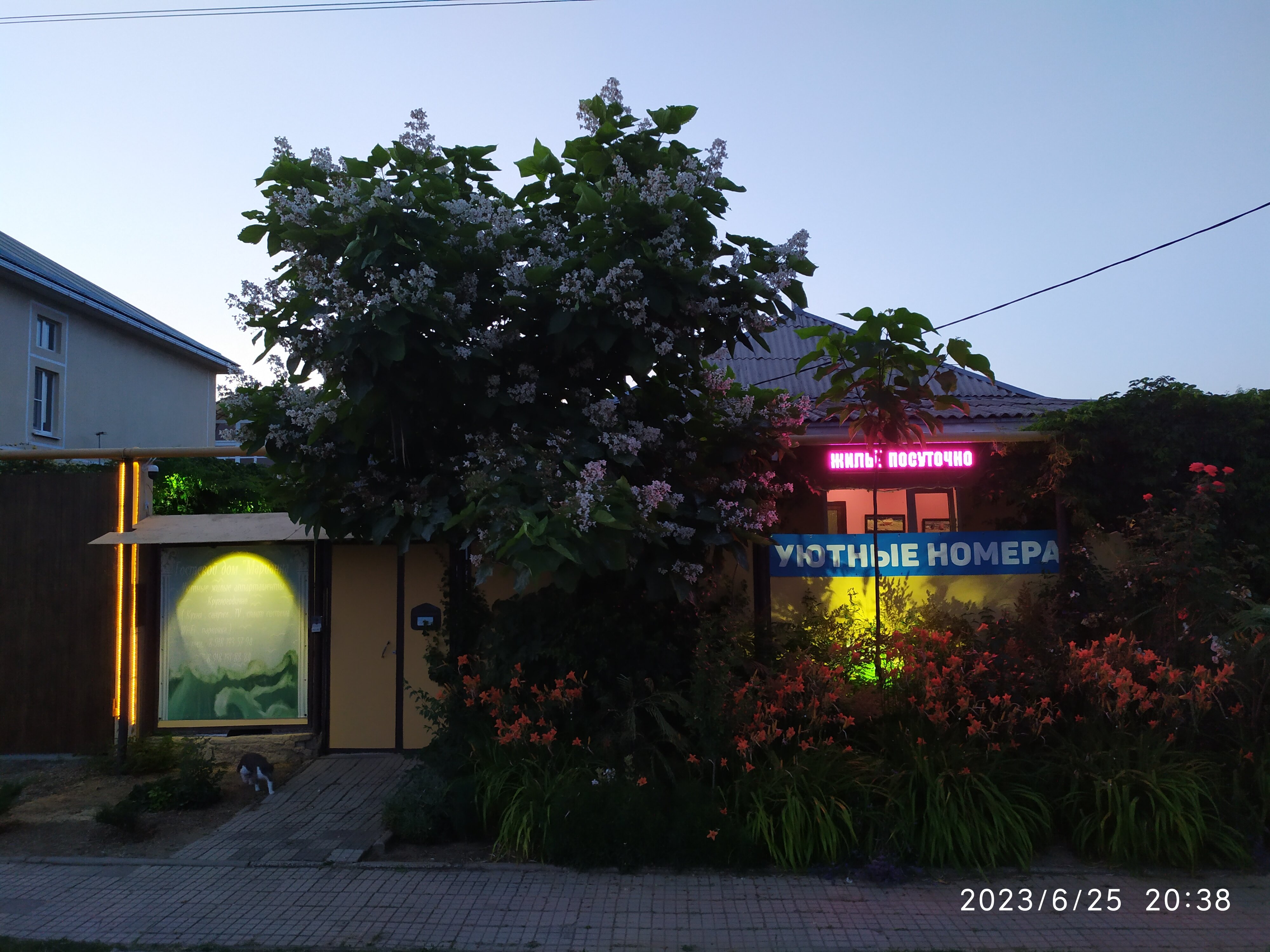 Фото Марианна