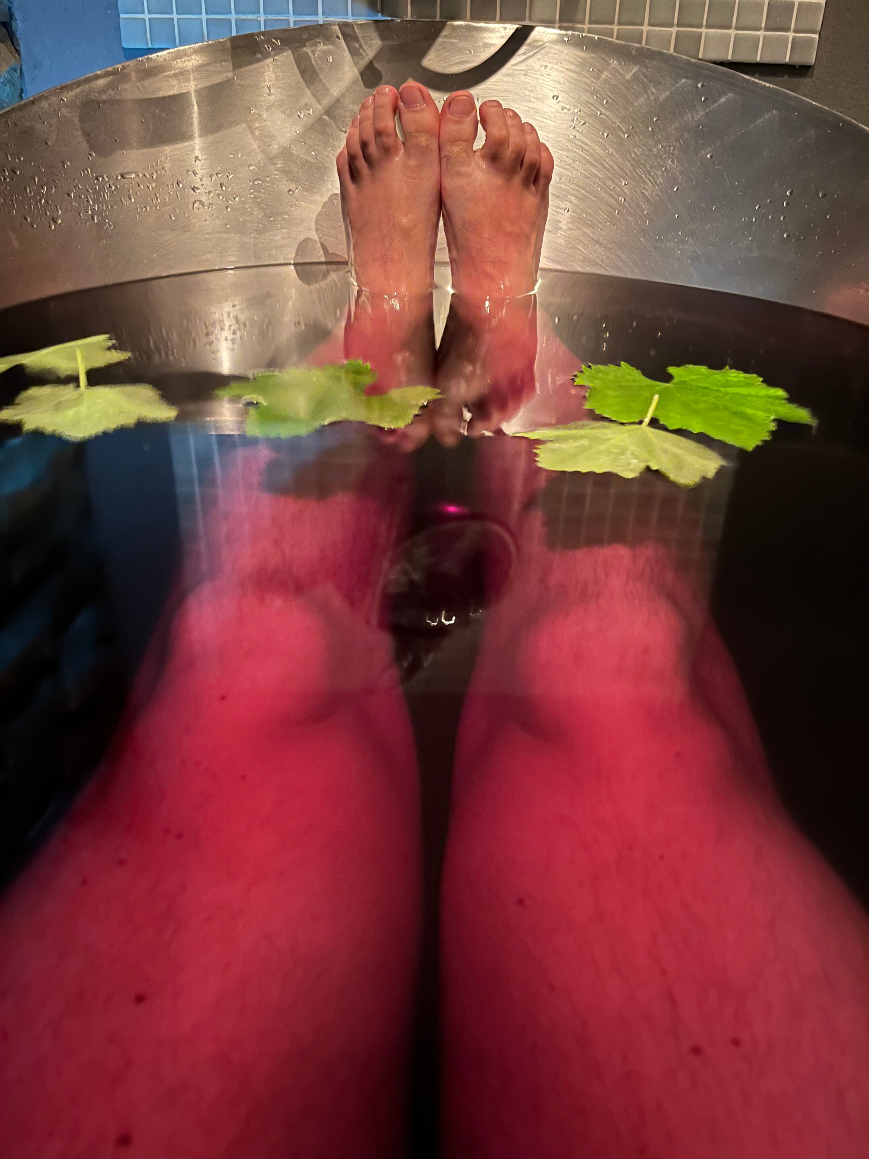 Фото Schuchmann Wines Chateau & SPA