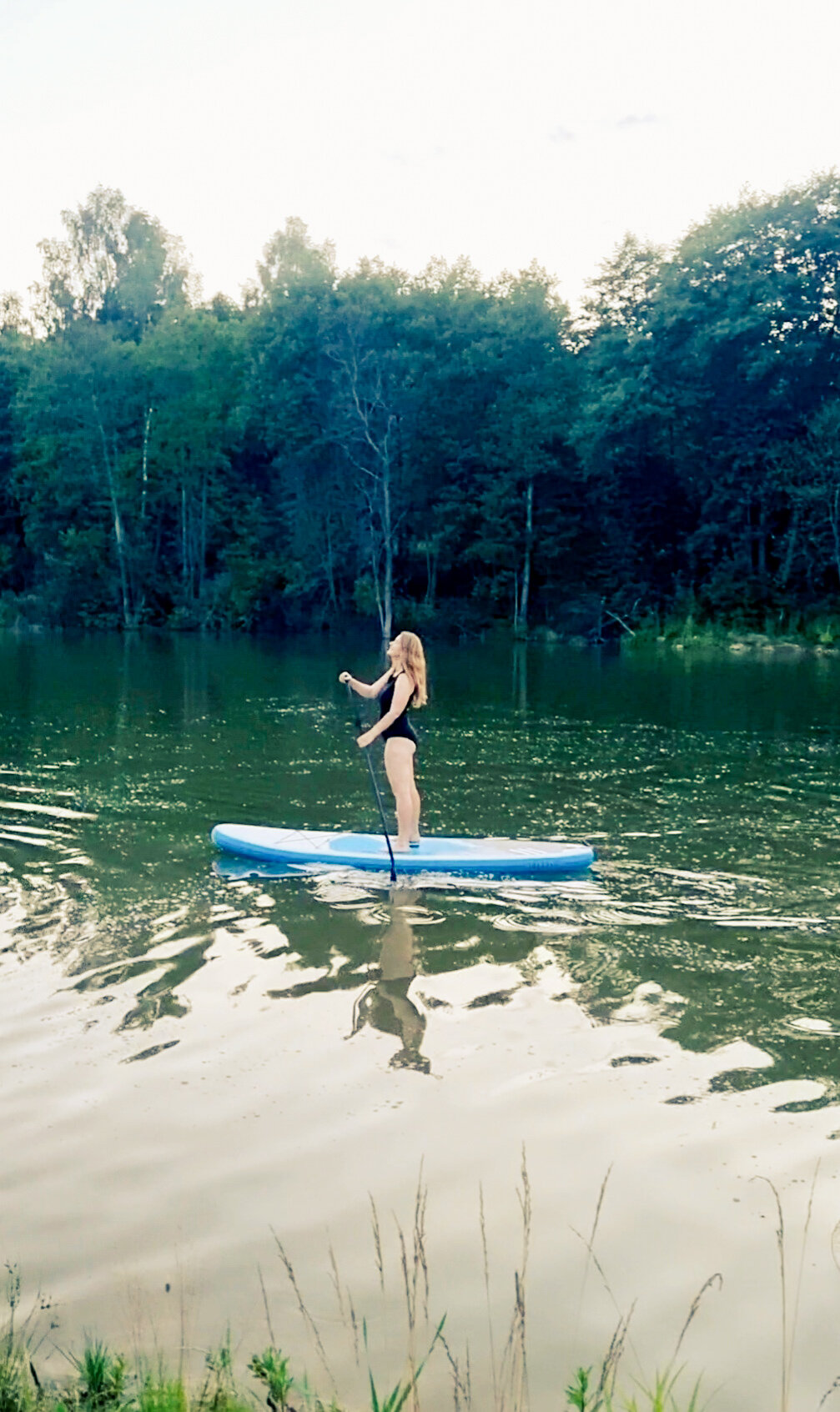 Фото Малина