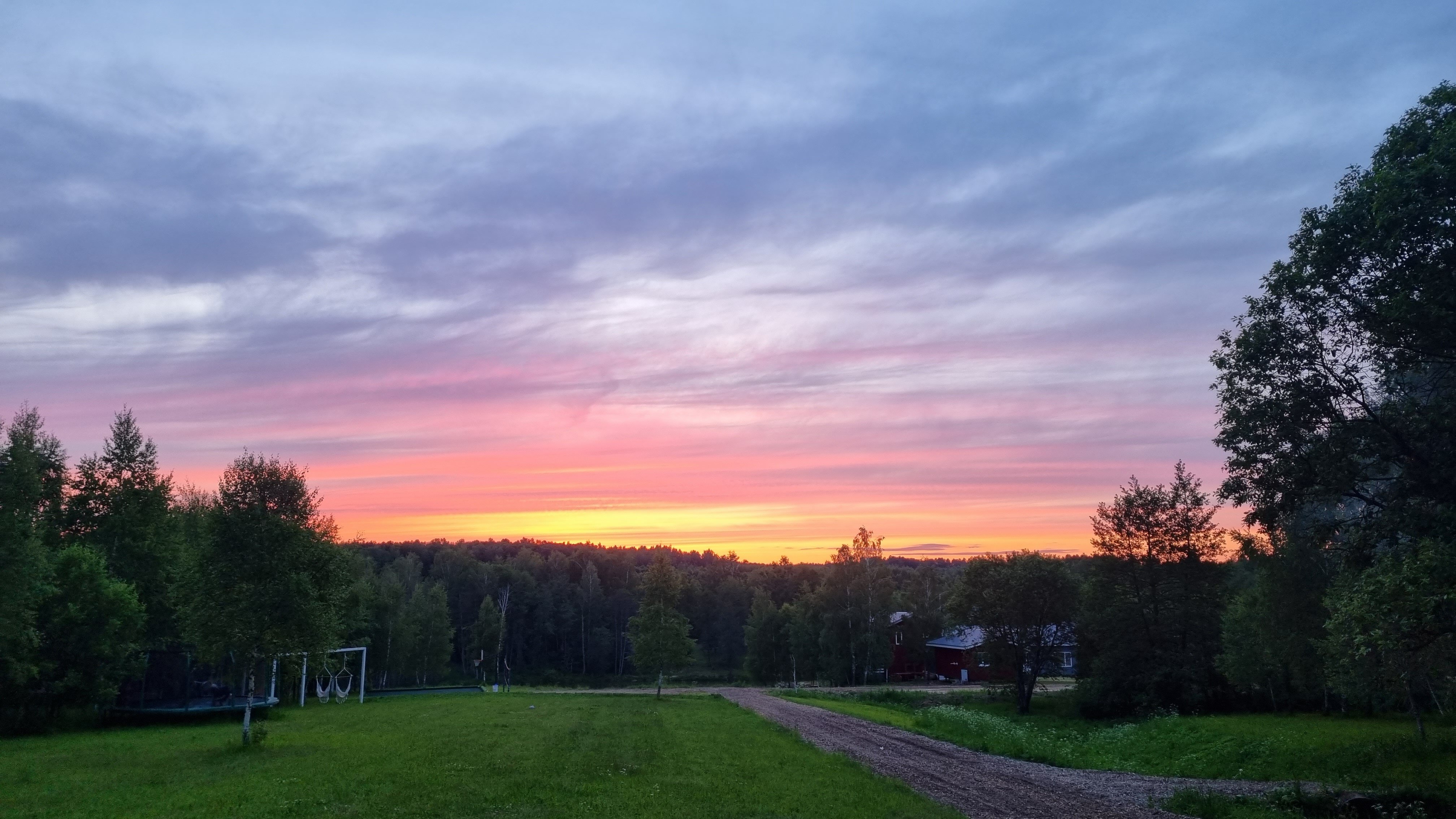 Фото Малина