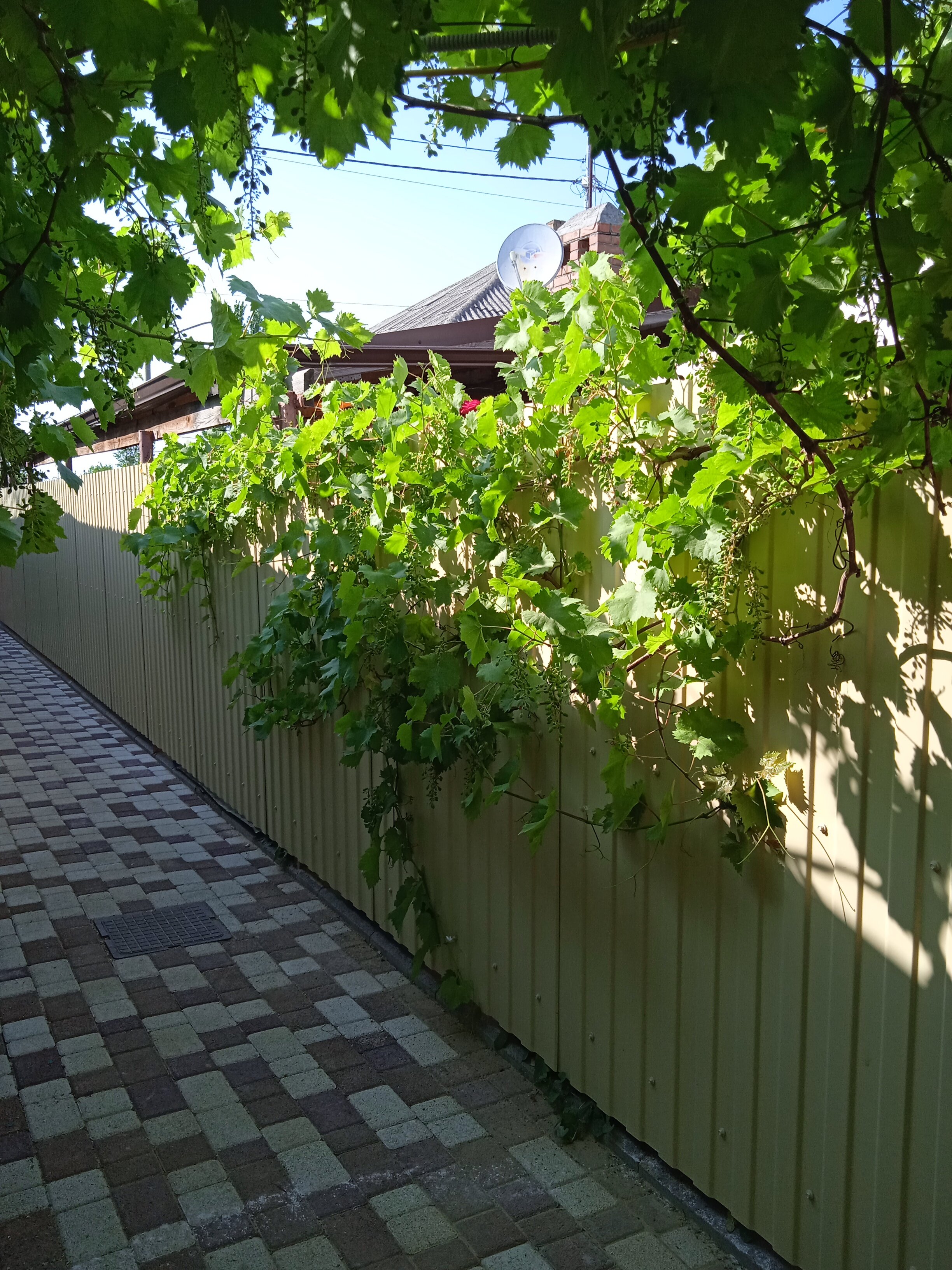 Фото Ривьера