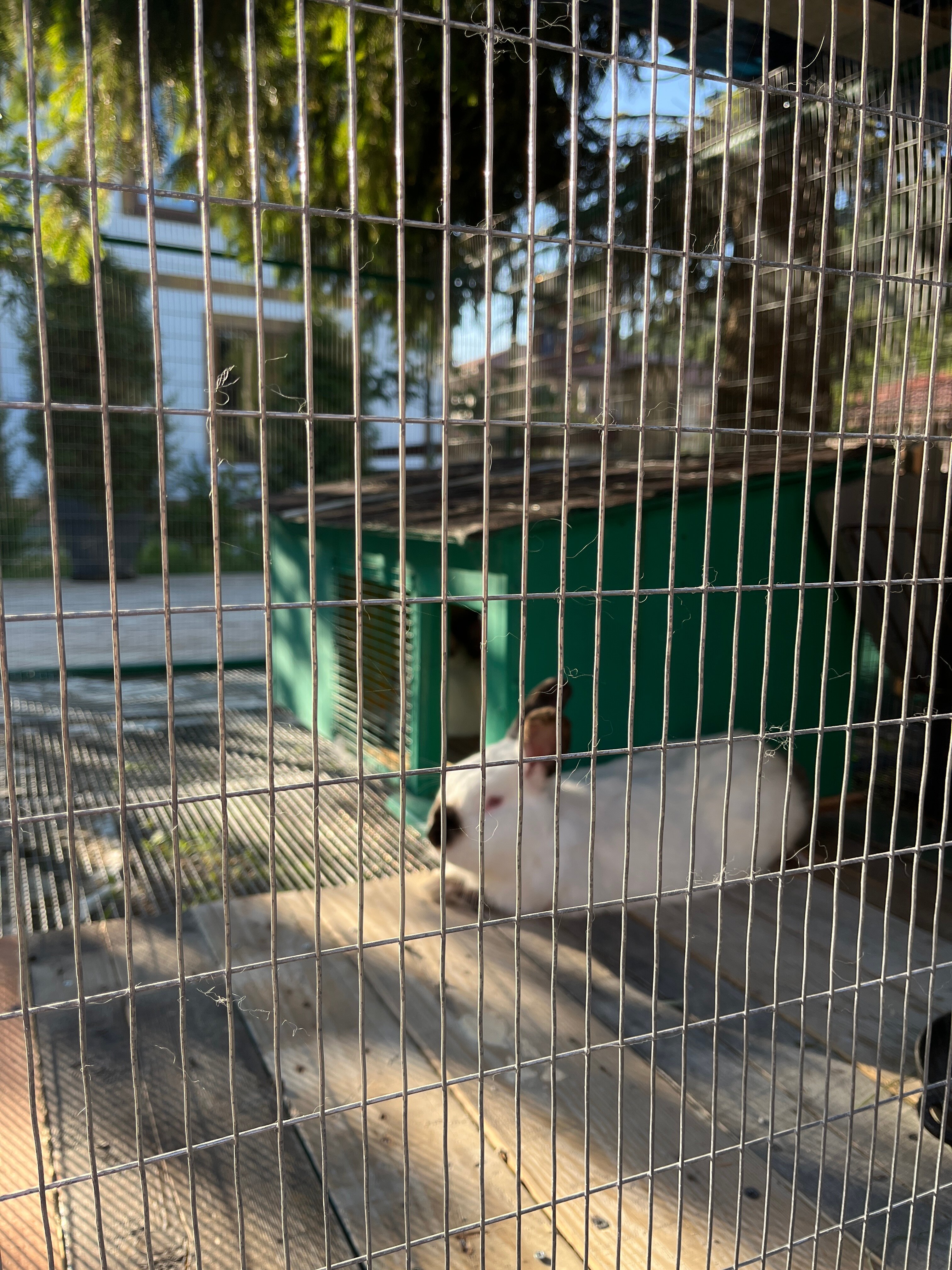 Фото Гостевой дом Эфенди