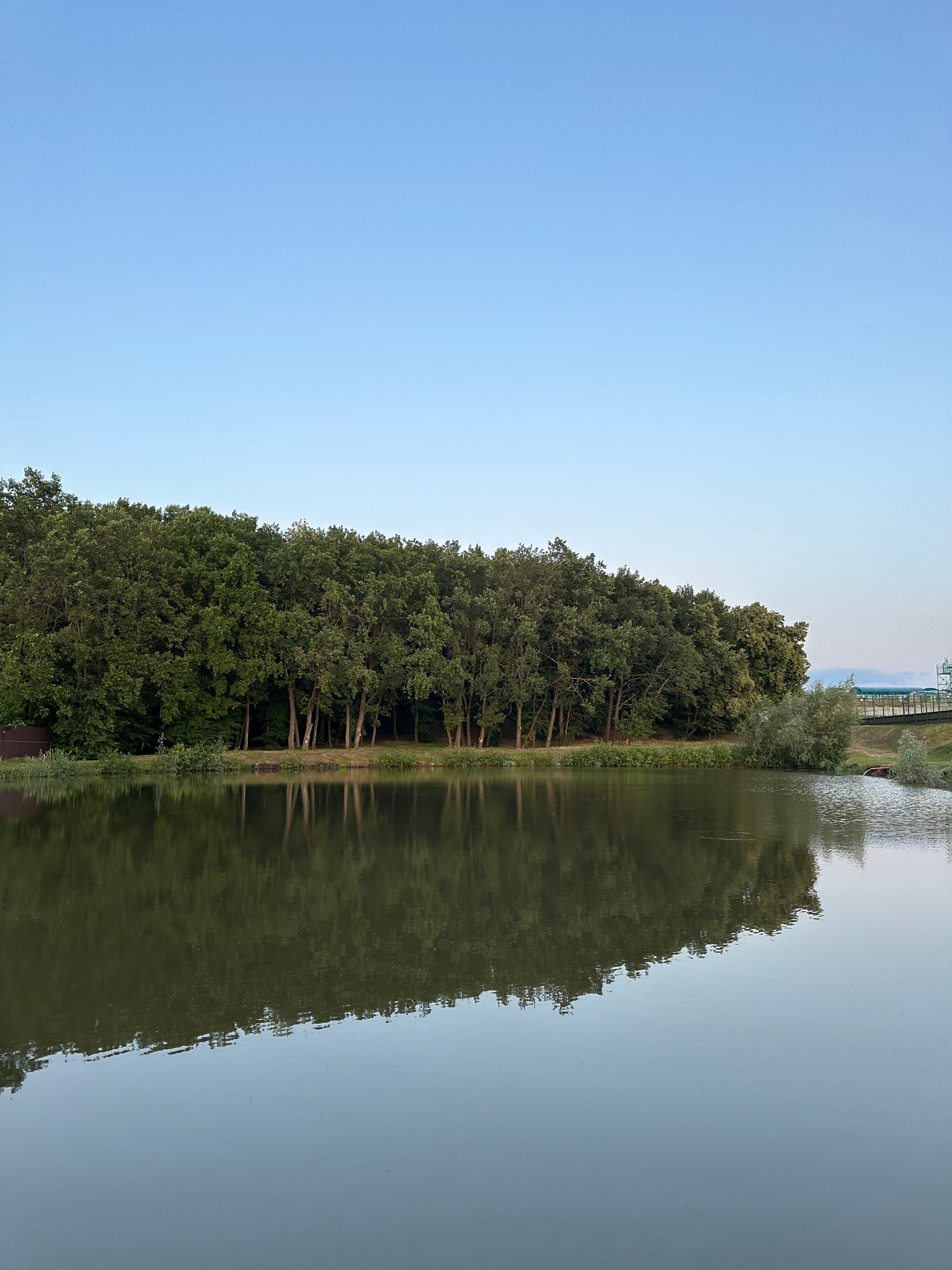 Фото Дубрава