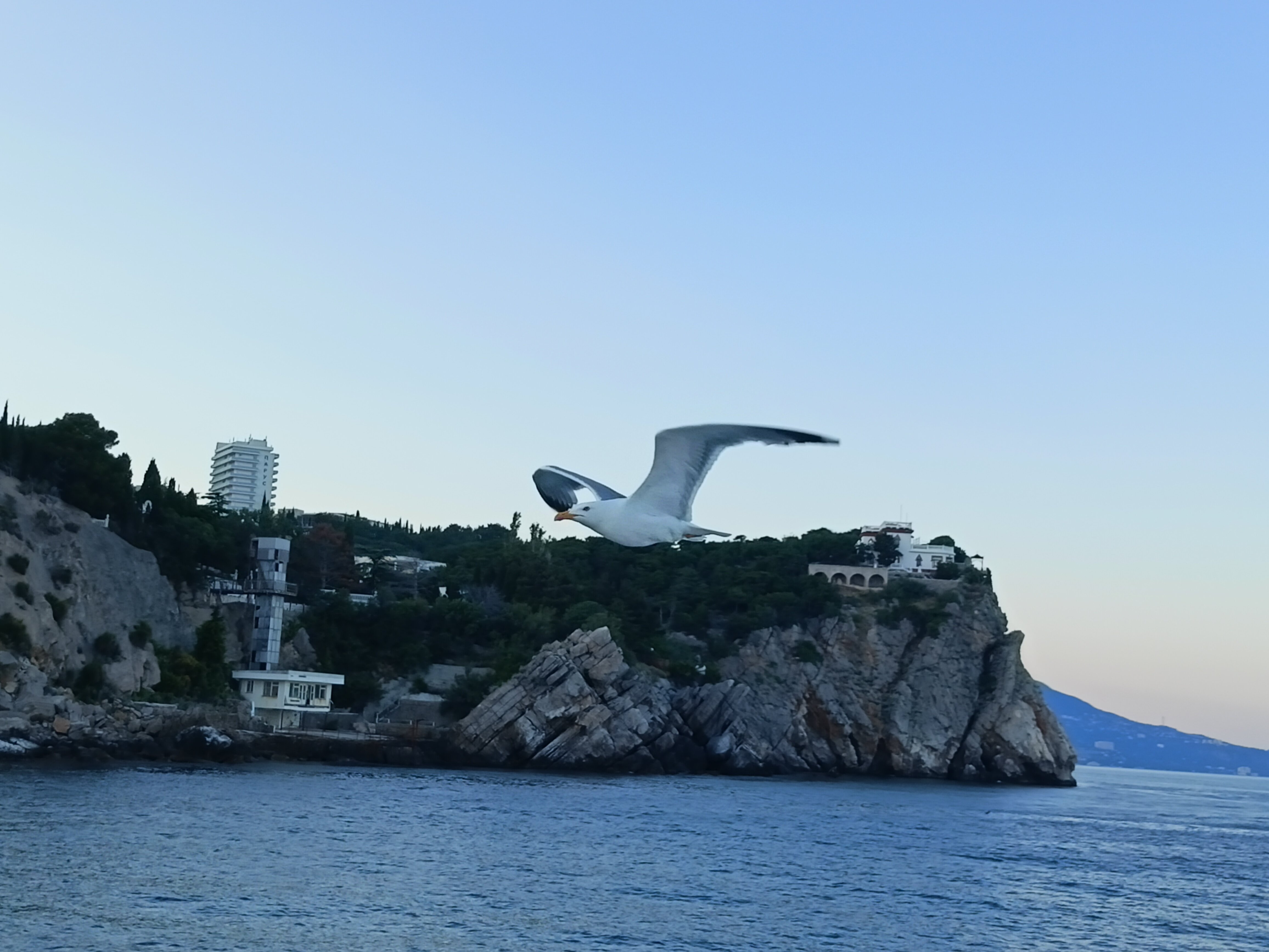 Фото Жемчужина