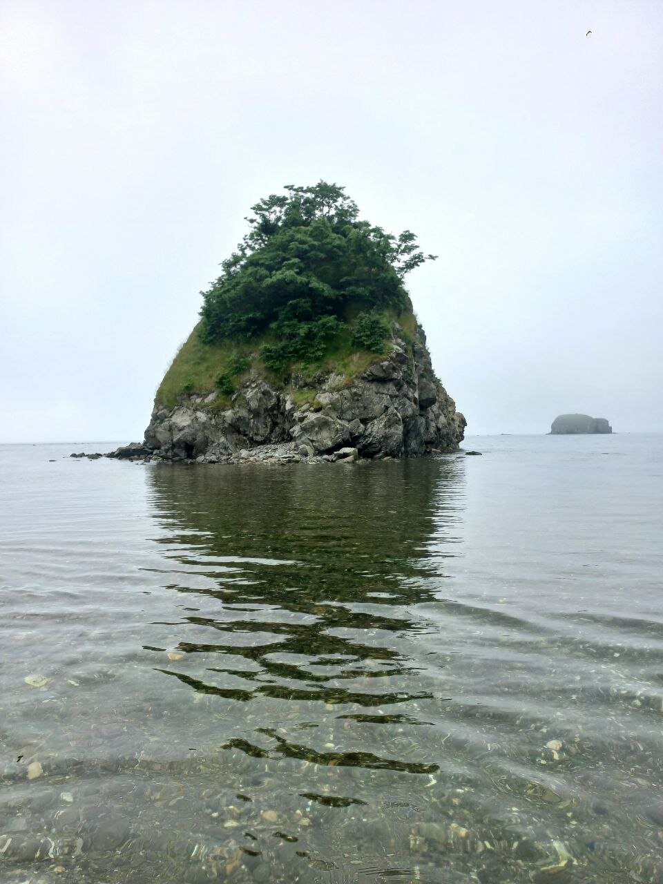 Фото Зелёная полянка