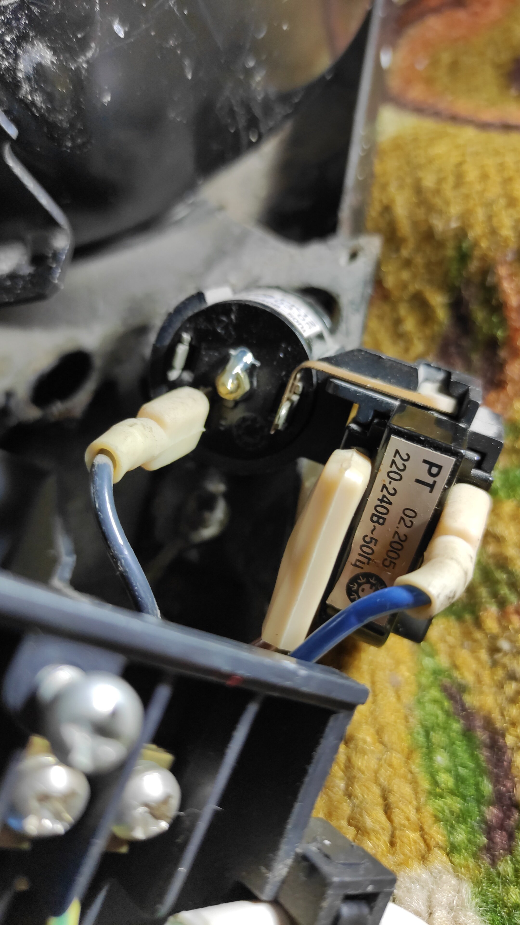 Фото Айсберг