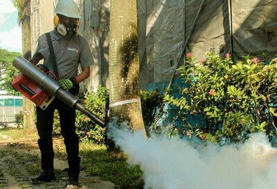 Building maintenance Trust Point Pest Control, Dubai, photo