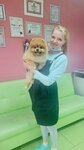 Бульдог (ulitsa Klimova, 38) ، صالون حيوانات أليفة