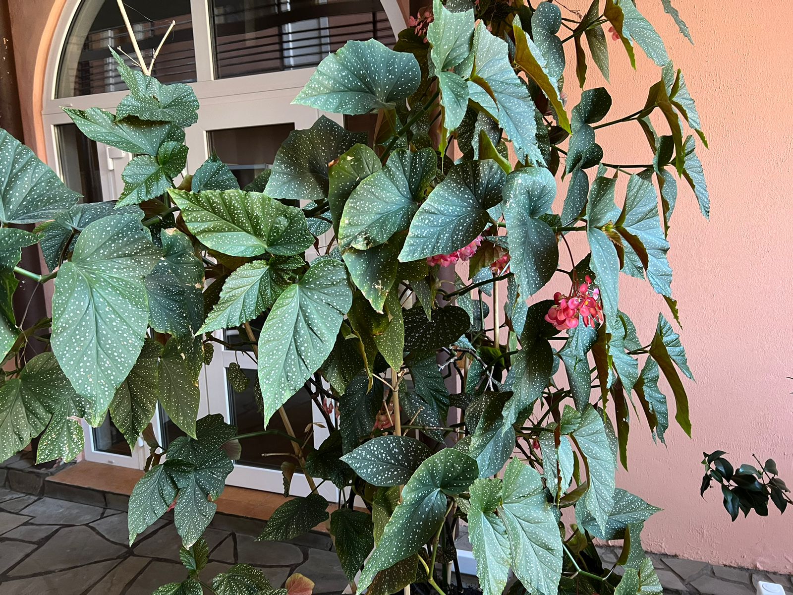 Фото У Елены