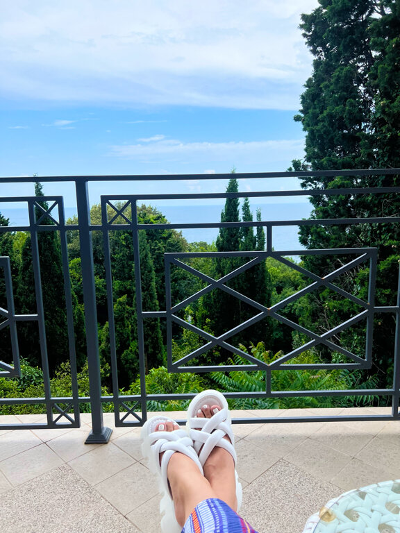 Фото Камелия