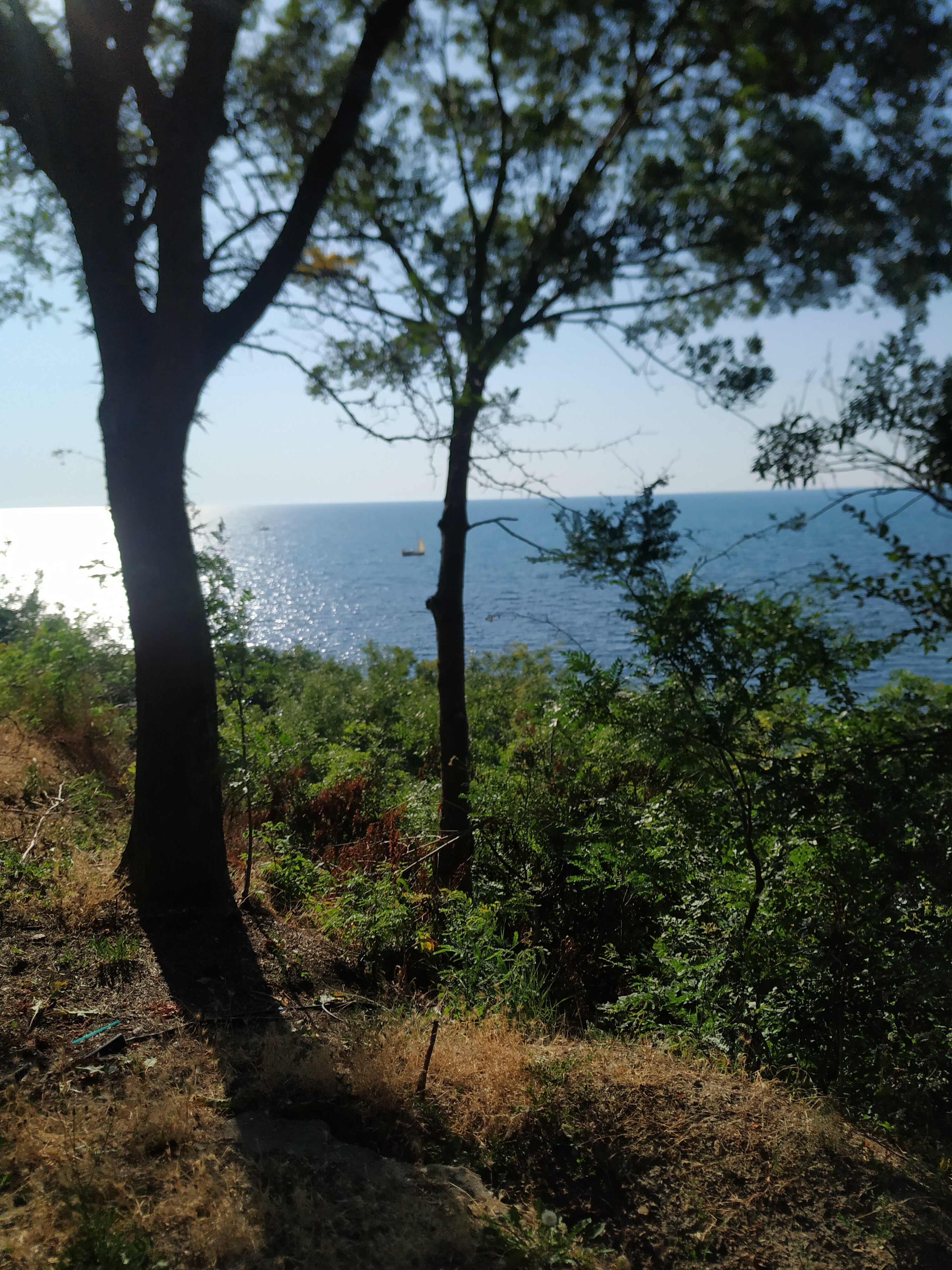 Фото Мирабель