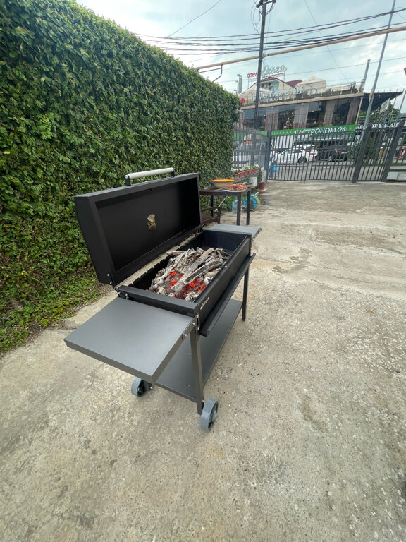 Фото Дельфин