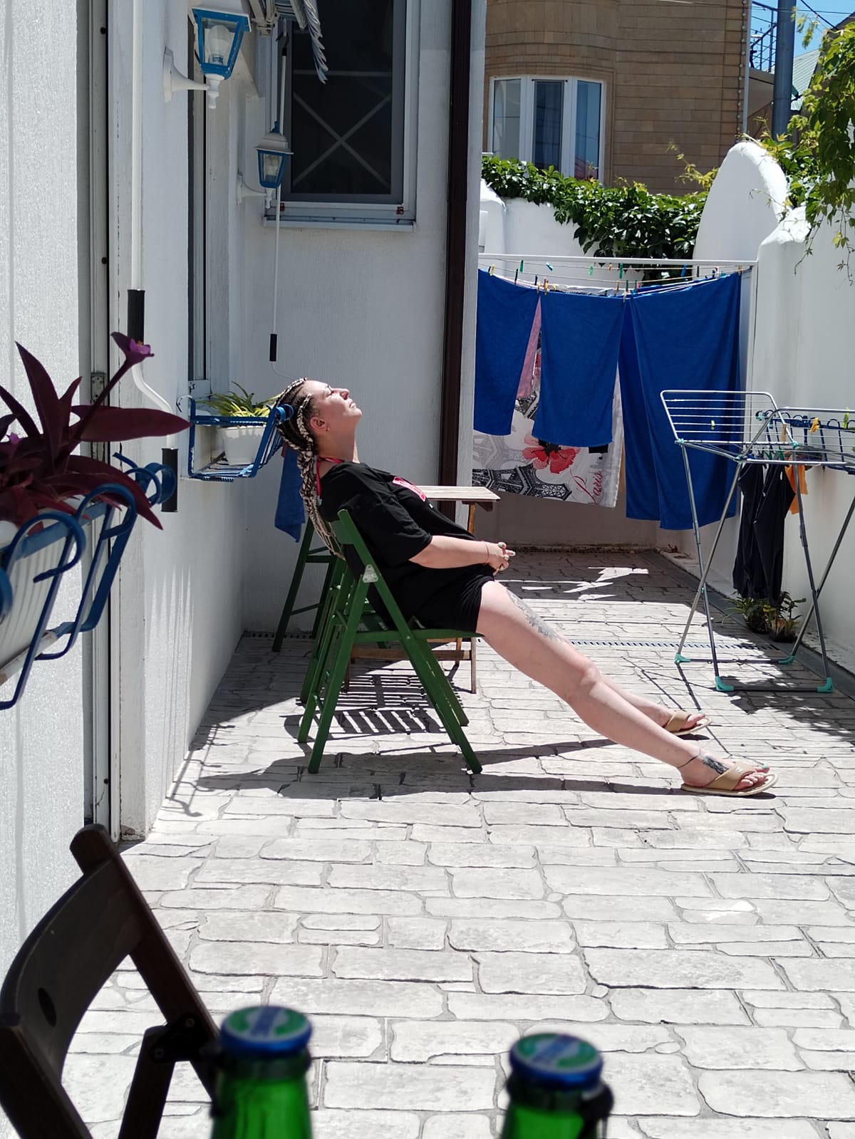 Фото Магнолия 2