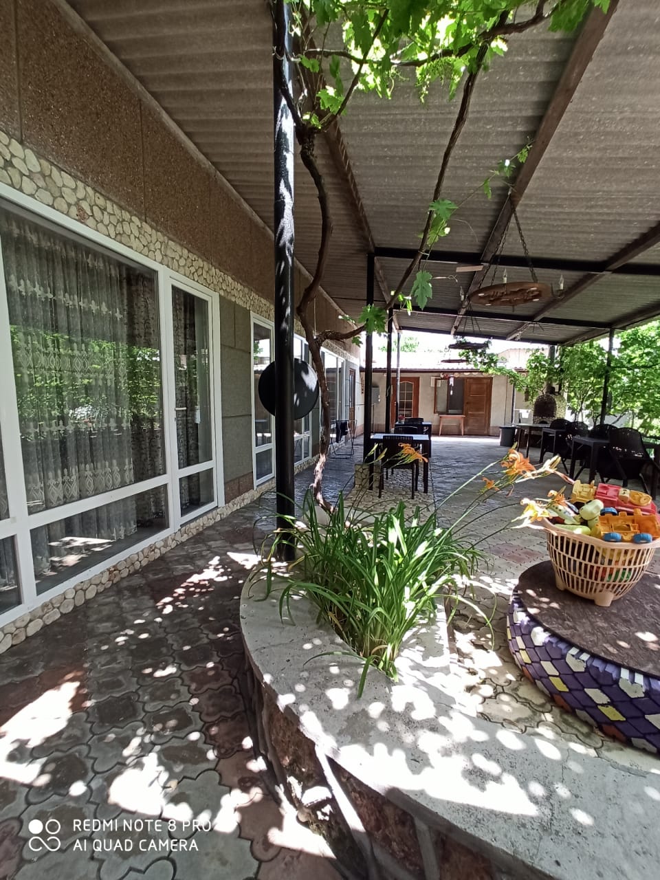 Фото У Борисовны