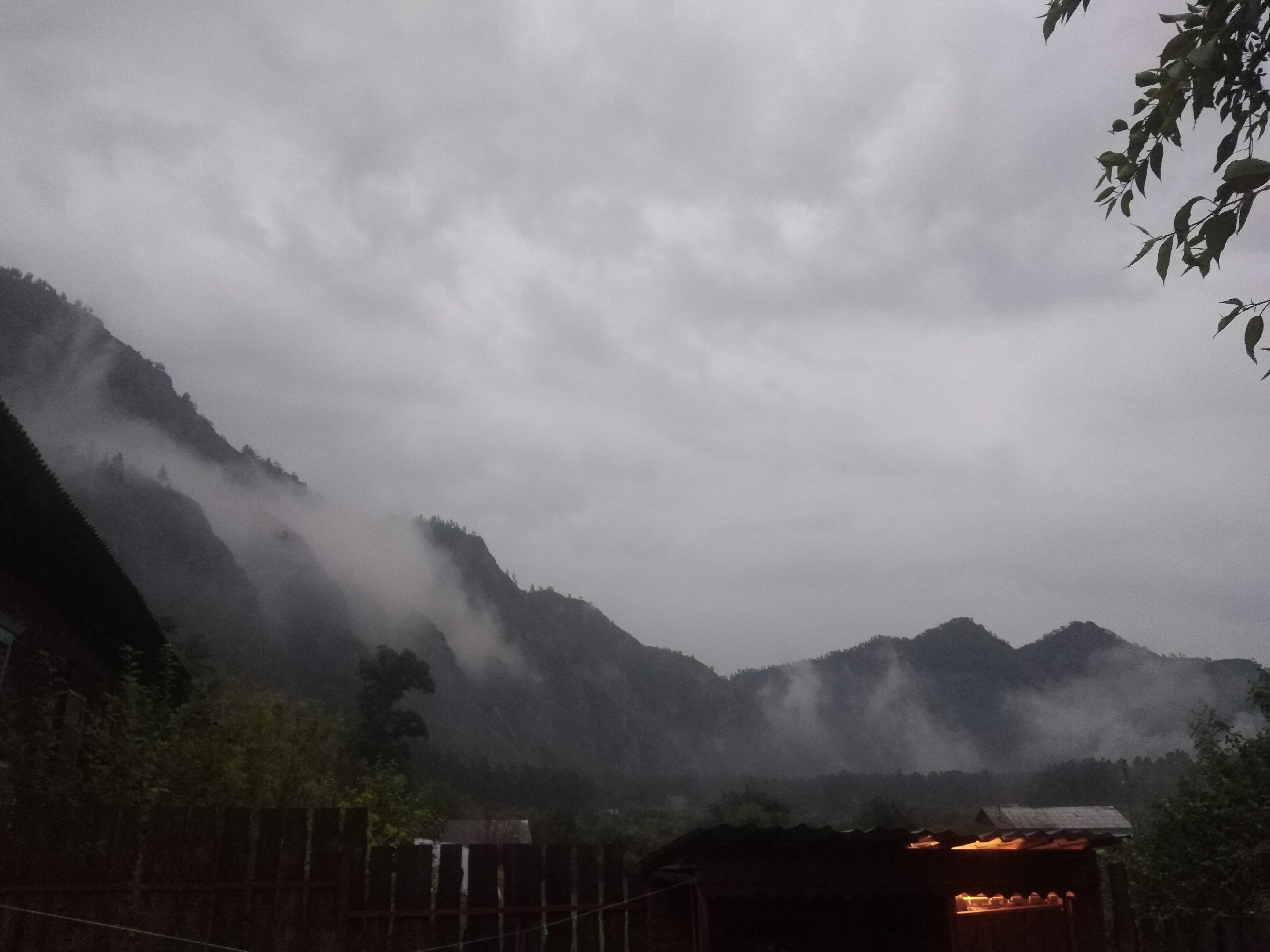 Фото Кедровый бочонок