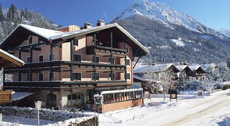 Гостиница Hotel Alpina