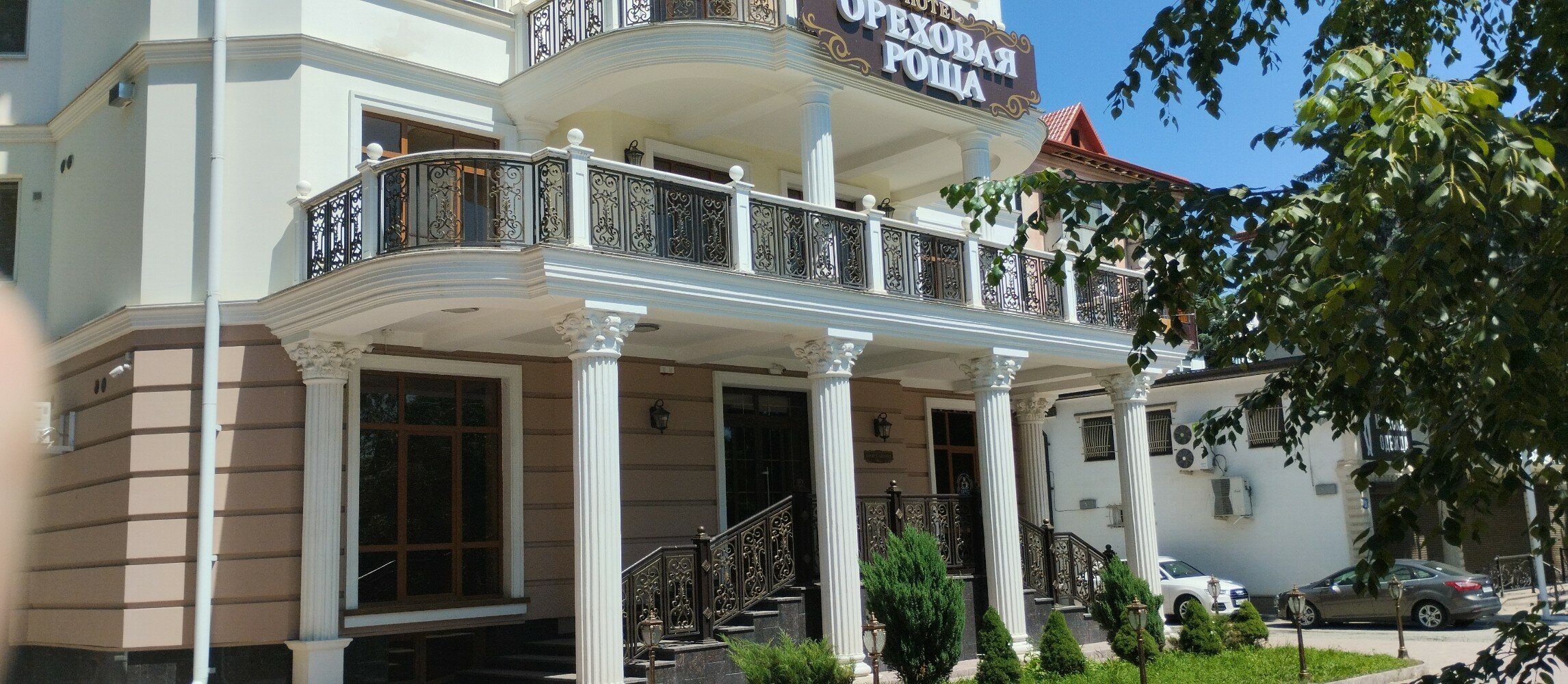 Фото Ореховая роща