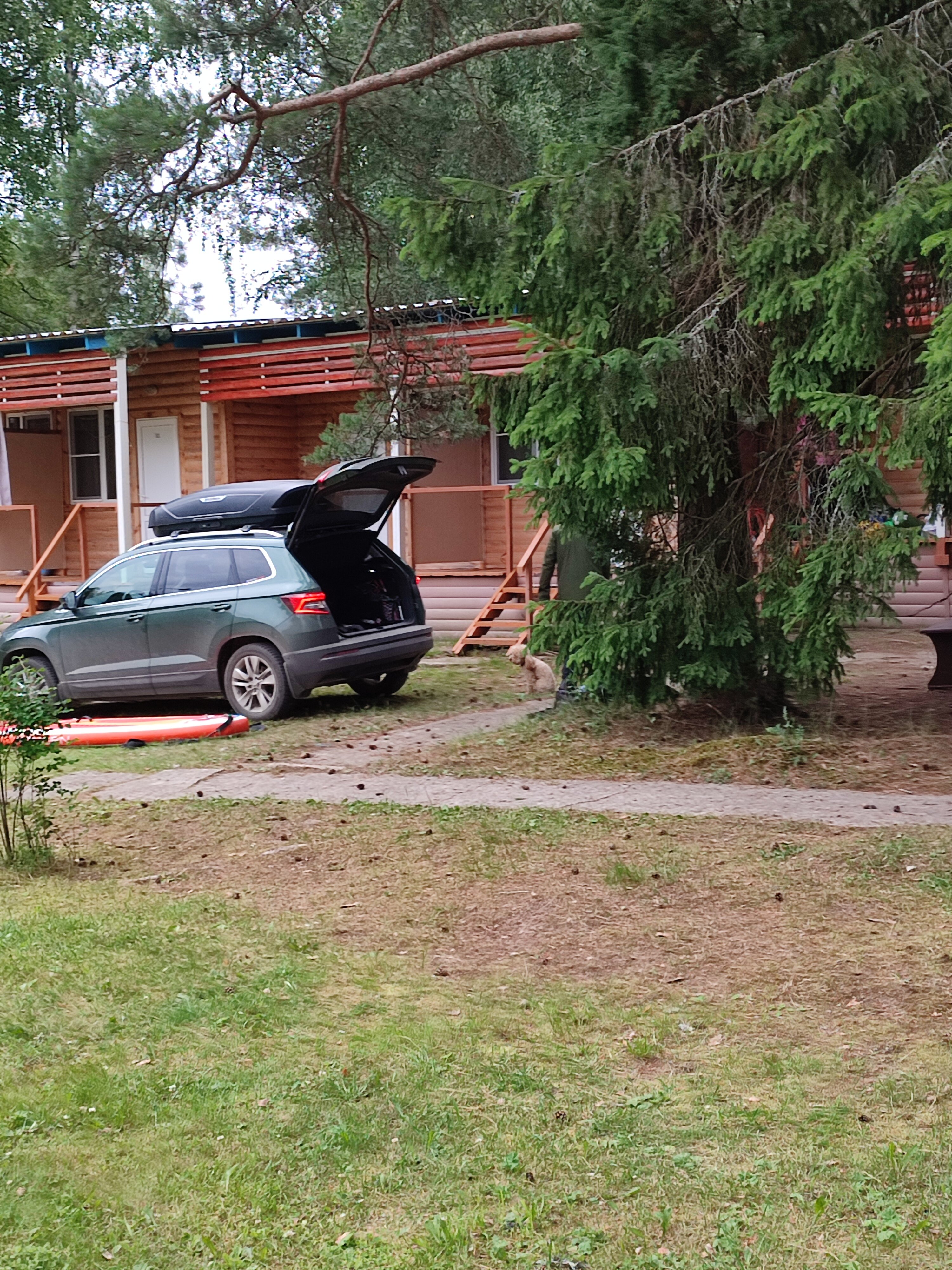 Фото Орлинка