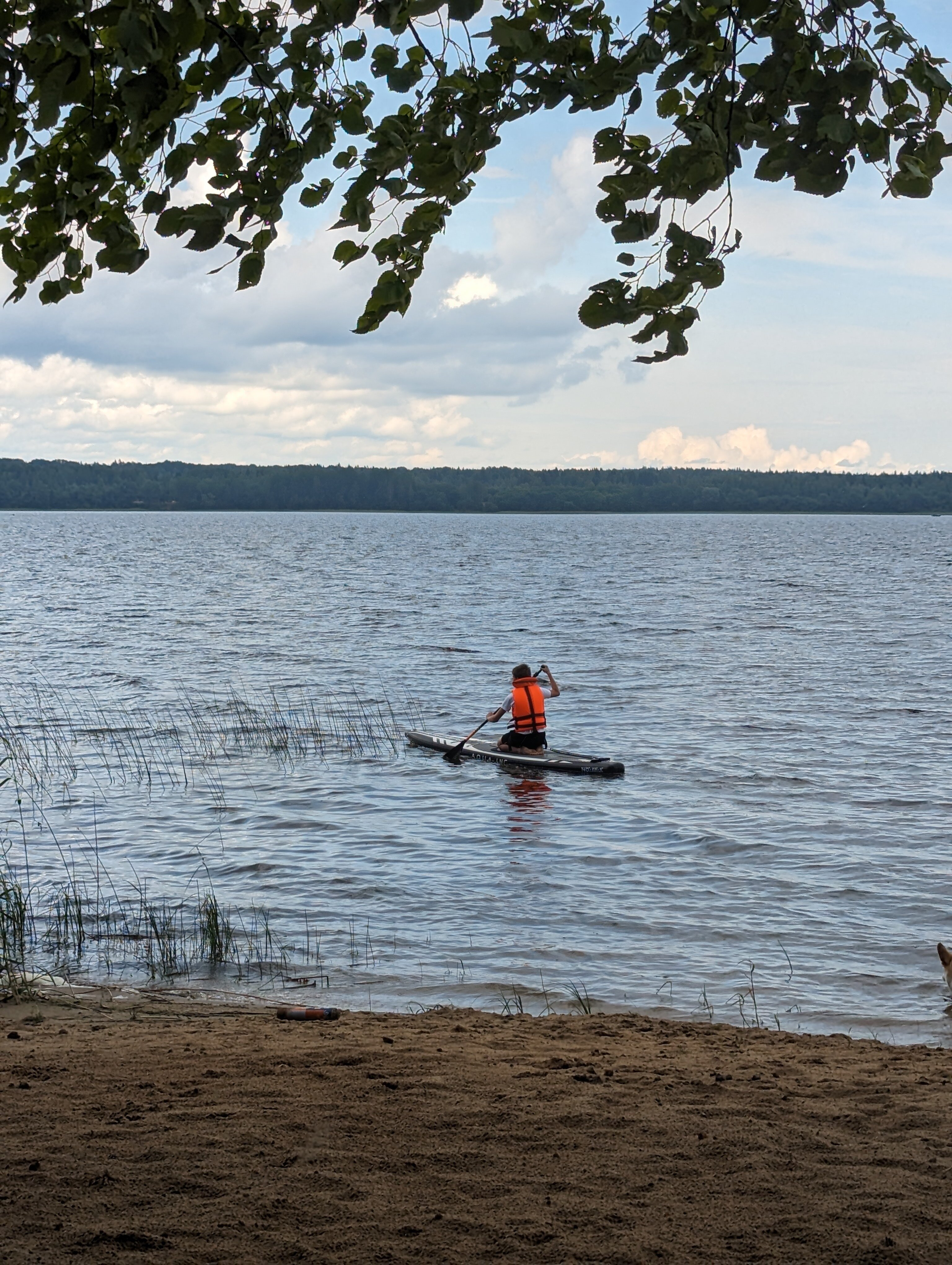 Фото Селигер клуб