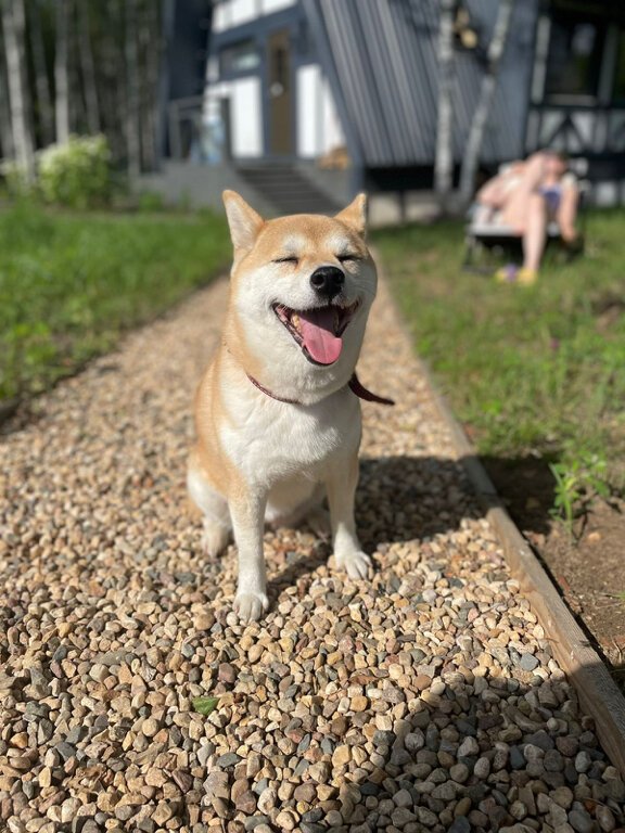 Фото Овчинино Лайф