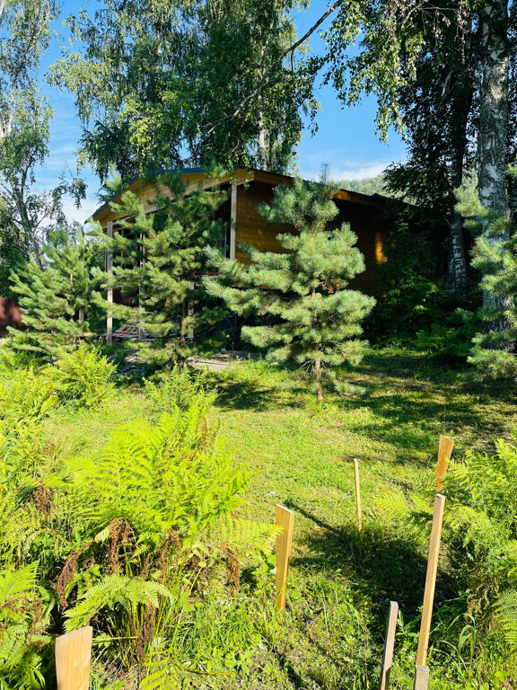 Фото Алтай Лэнд