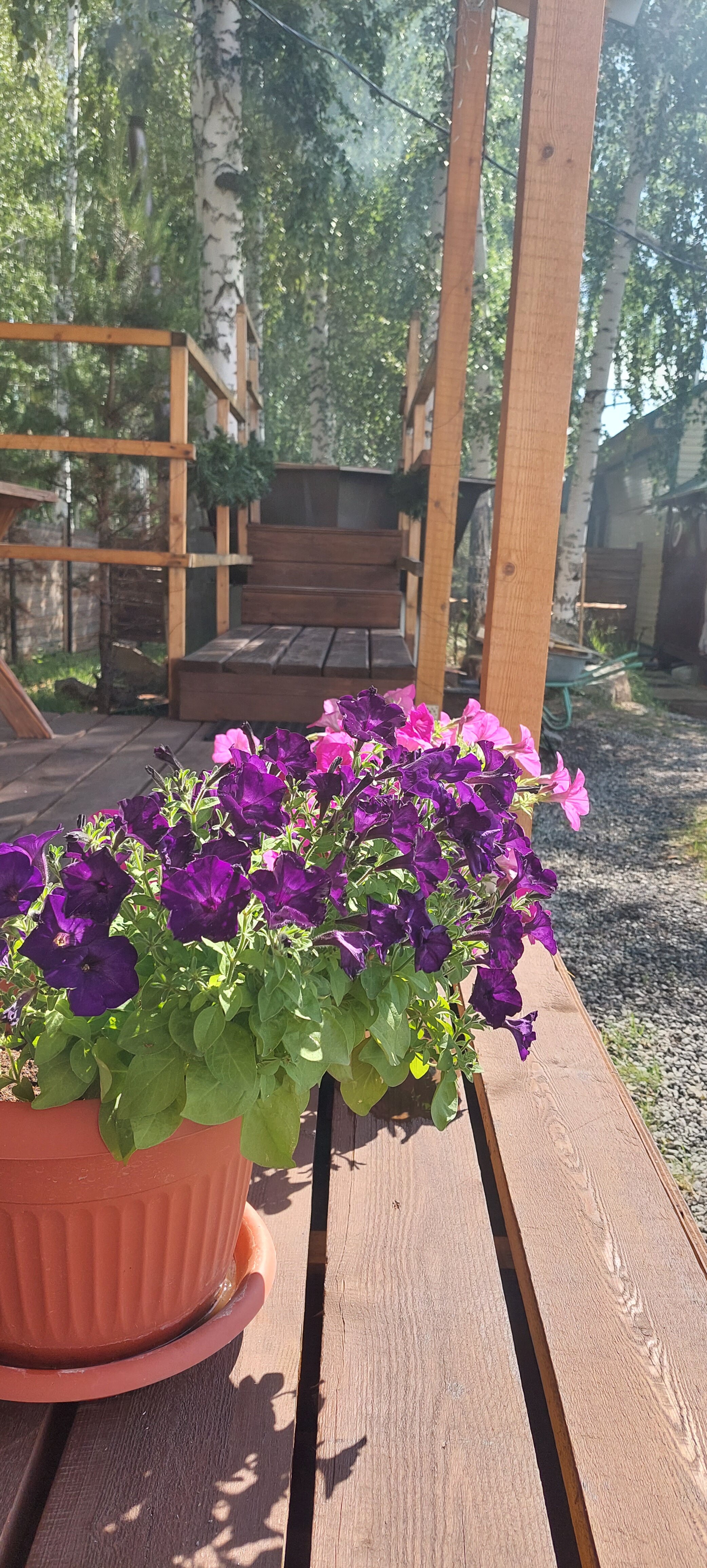 Фото Крутой