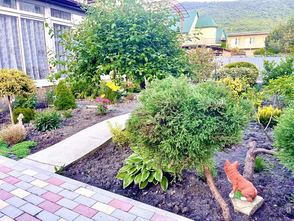 Фото Ангелина