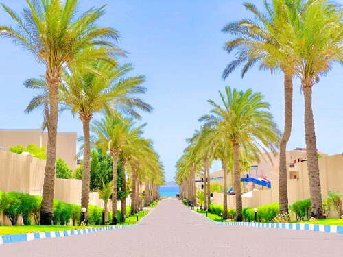 Гостиница Ivy Cyrene Sharm Resort в Шарм-эль-Шейхе