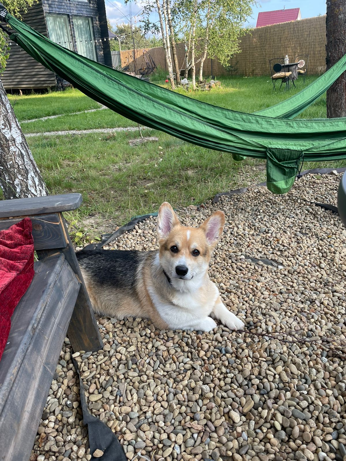 Фото Берёзовка