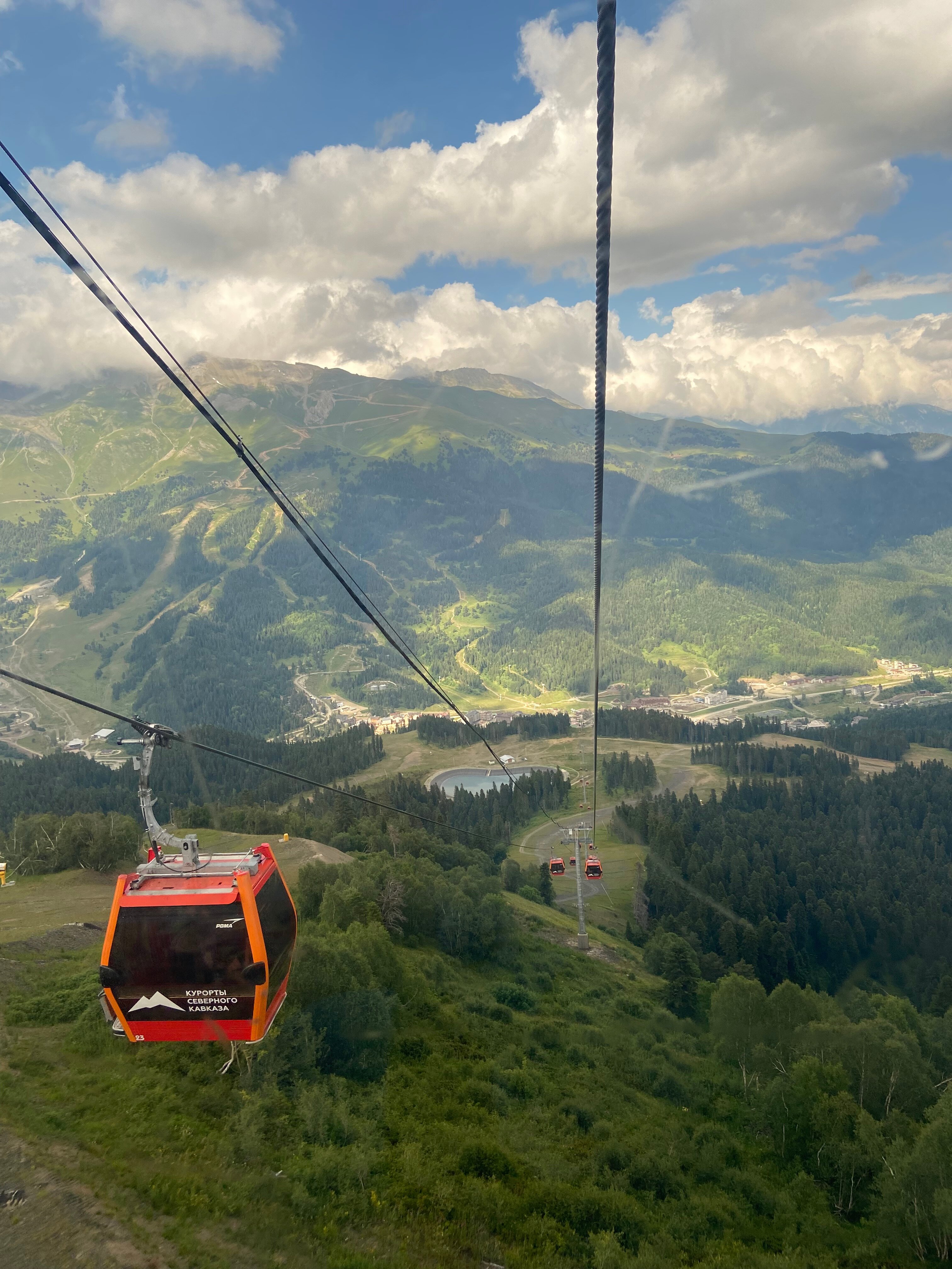 Фото Сосновый бор