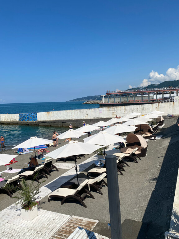 Фото Панда на Бамбуковой