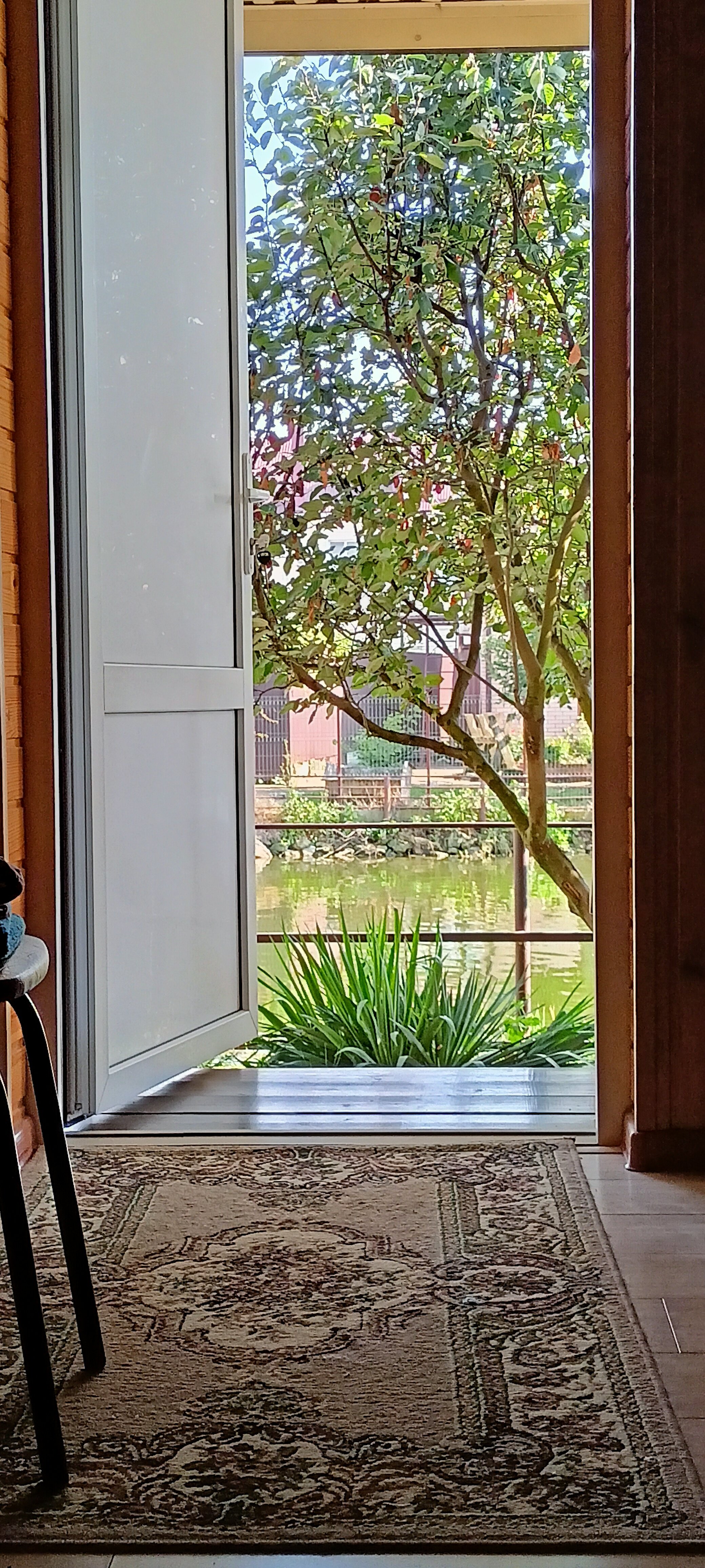 Фото Лазурный