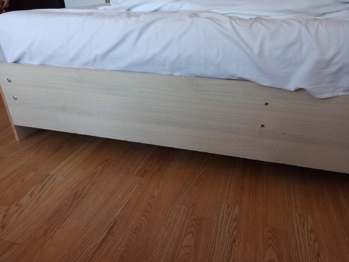 Фото Диоскурия